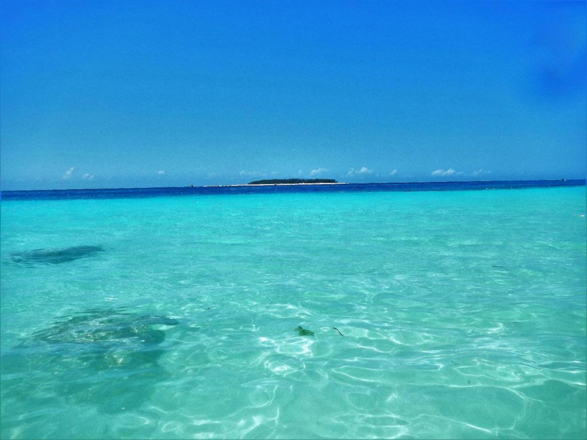 Villaer Noah Luxury Kiwengwa (Zanzibar)
