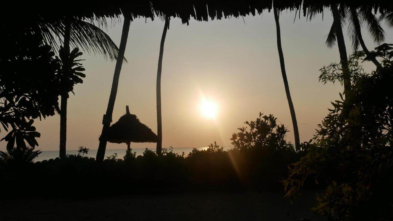 Villaer Noah Luxury Kiwengwa (Zanzibar)