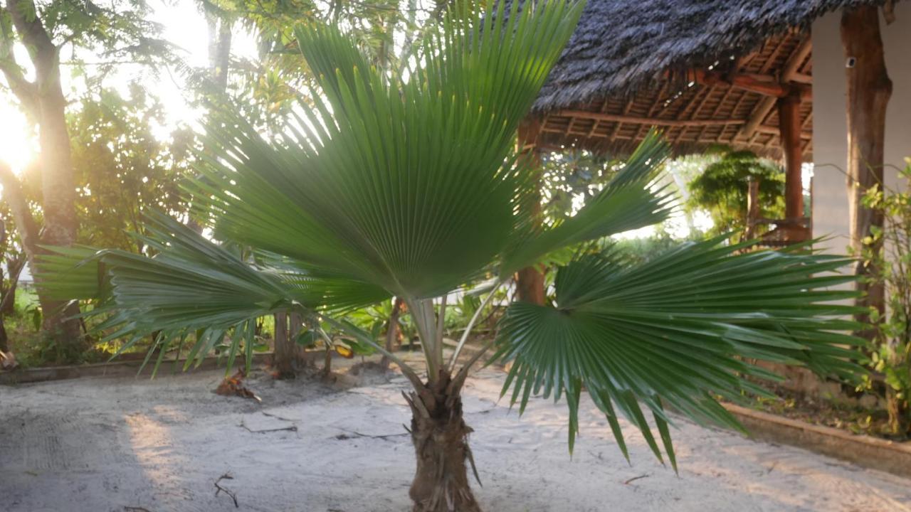 Noah Luxury * Kiwengwa (Zanzibar)