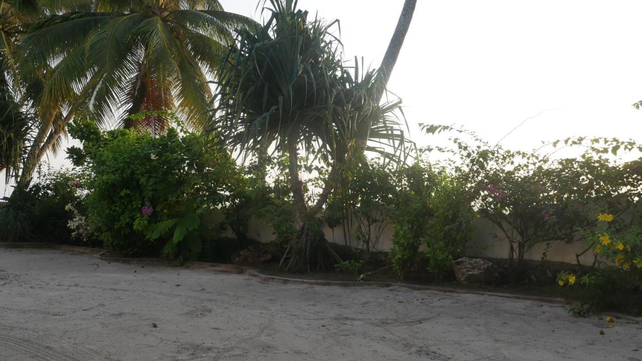 Noah Luxury Villa