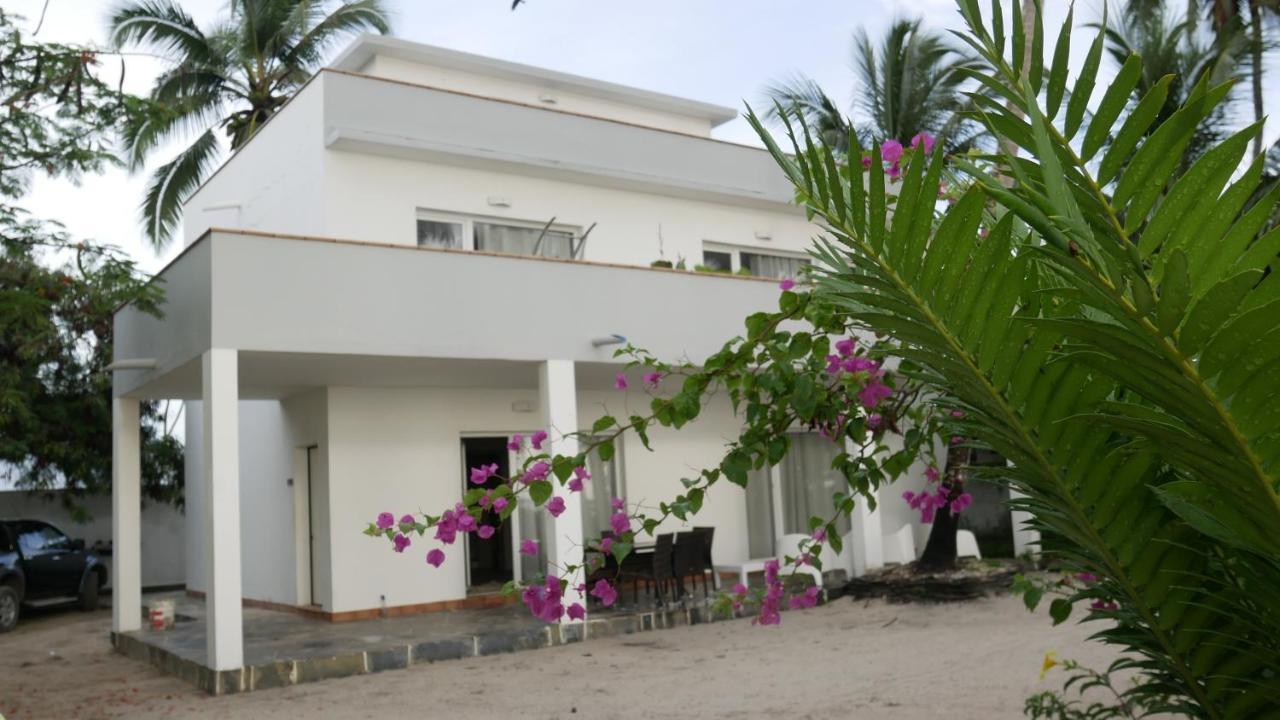 Villa Noah Luxury